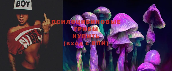 мдпв Покровск