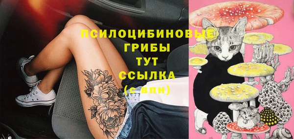 мдпв Лиски
