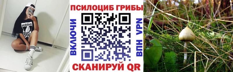Галлюциногенные грибы мухоморы  Миллерово 