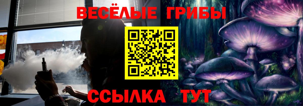 Бошки Шишки  ГАШ  A PVP СОЛЬ   Меф кристаллы  Миллерово  NBOMe  Канабис  ГАШИШ  Экстази  Вход с VPN 
